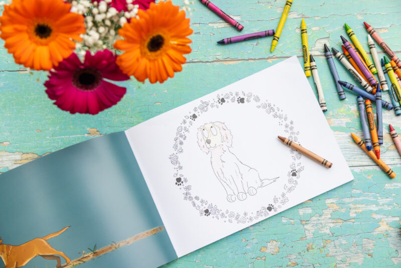 Emily Cole Activity Book - Volume 3