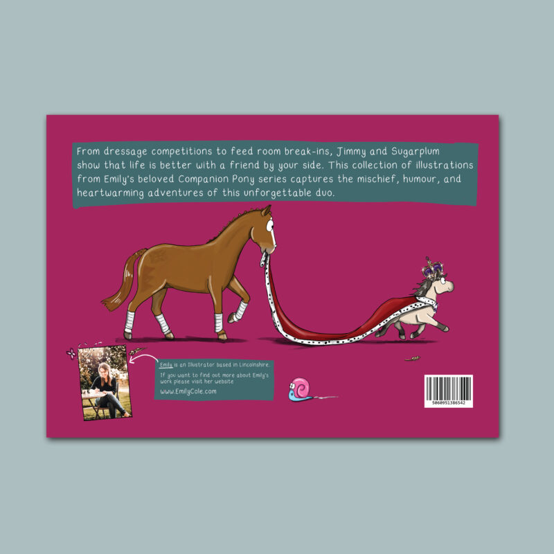 Jimmy and Sugarplum - the companion pony book by Emily Cole Illustrations - Back Cover