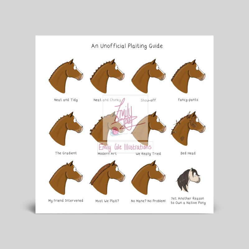 Unofficial plaiting guide - horse greeting card A5 by Emily Cole Illustrations