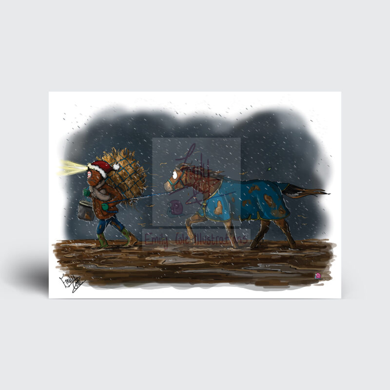 Bah Humbug Funny Horse Christmas Cards by - Emily Cole Illustrations