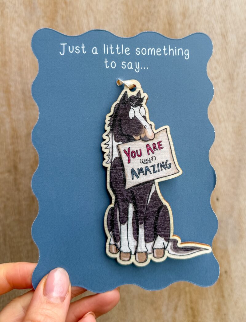 'Piebald Horse' - You are Amazing Wooden Decoration