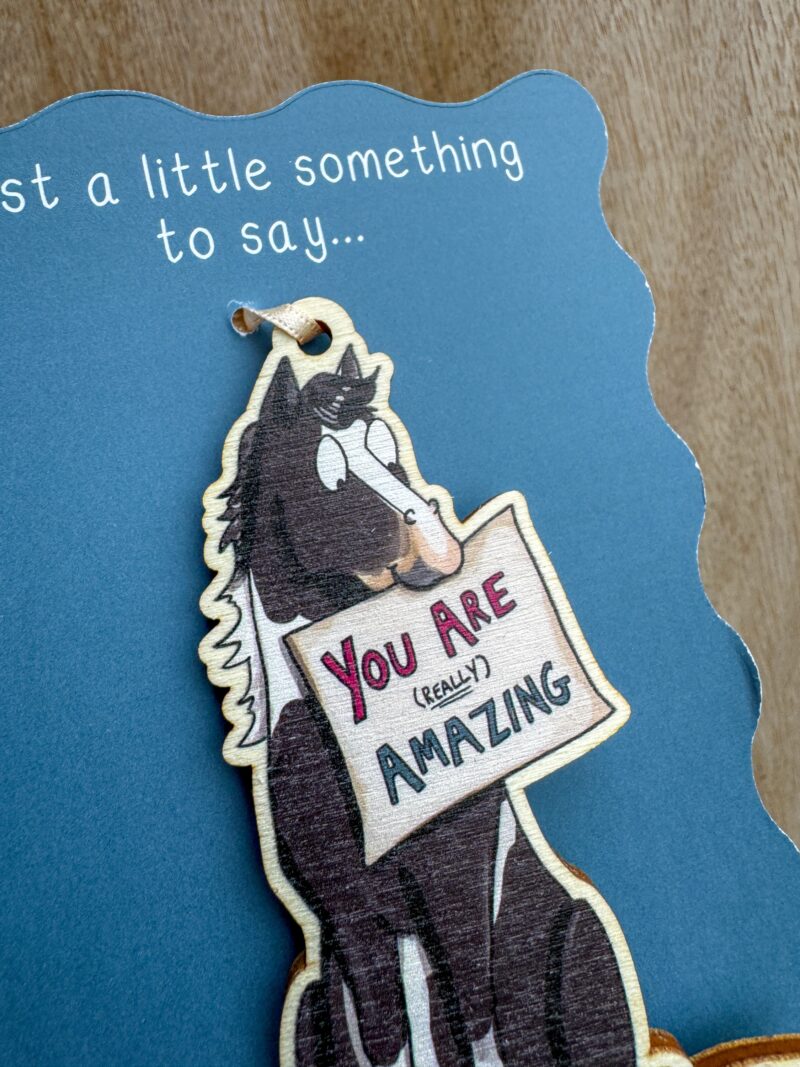 'Piebald Horse' - You are Amazing Wooden Decoration - Image 2