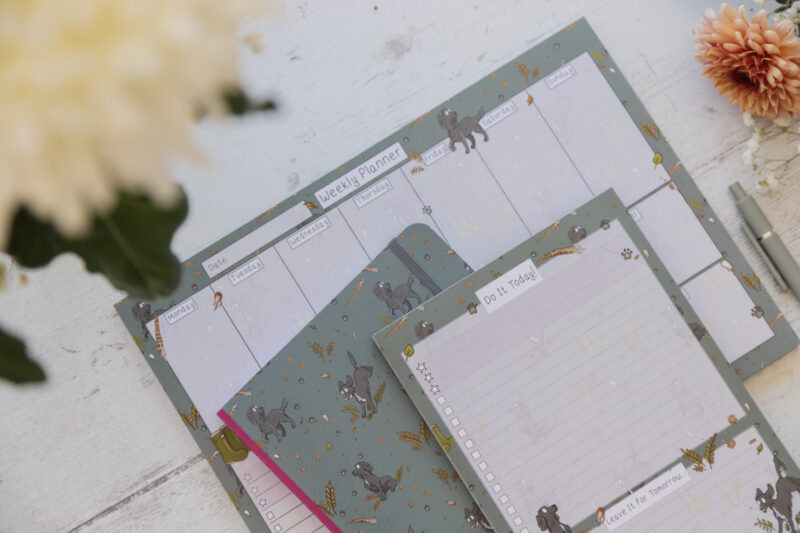 Black Spaniel Stationery by Emily Cole Illustrations