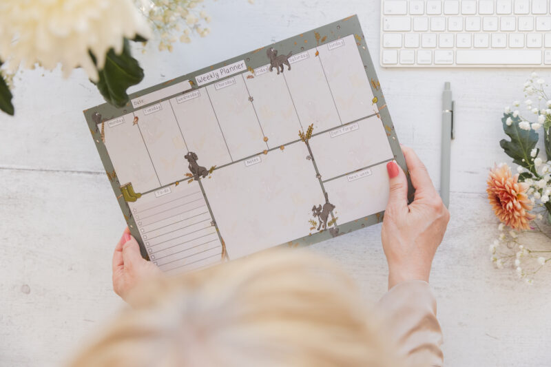 A4 Black Spaniel Desk Planner Pad - Spaniel Dog Stationery by Emily Cole Illustrations