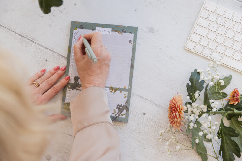 A5 Black Spaniel To-do List - Spaniel Stationery by Emily Cole Illustrations