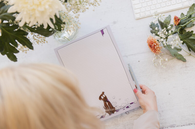 It exploded - Humorous Dog A4 Lined Notepad - Dog stationery by Emily Cole Illustrations