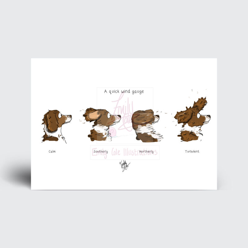 'A Quick Wind Gauge' Greeting Card