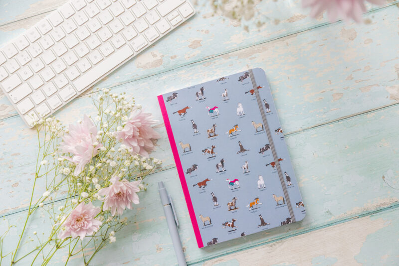 Cob-pendium Softcover Lined Notebook's By Emily Cole Illustrations