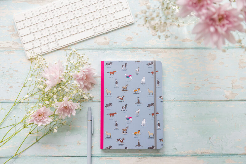 Cob-pendium Softcover Lined Notebook's By Emily Cole Illustrations