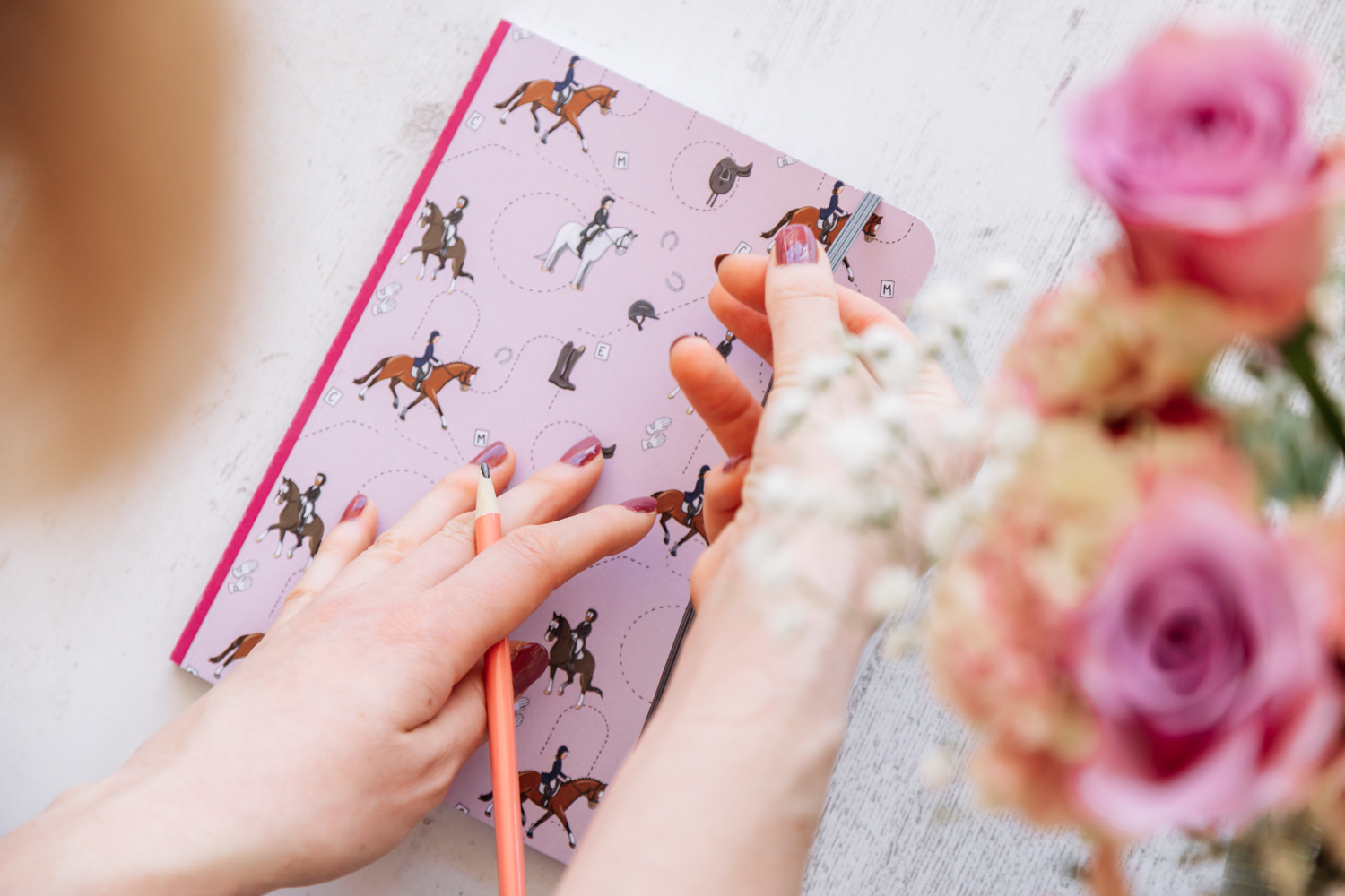 Softcover Lined Notebook's By Emily Cole Illustrations