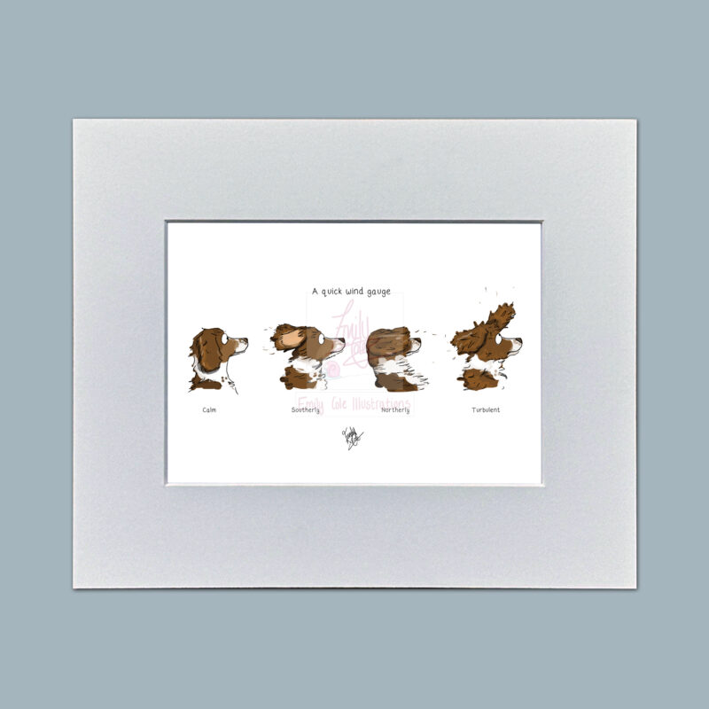 Spaniel Wind Gauge. Humorous Dog Mounted Mini Print by Emily Cole Illustrations