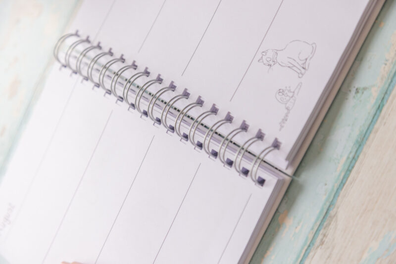 Emily Cole illustrations 2027 funny horse diary A5 inside page ring bound close up
