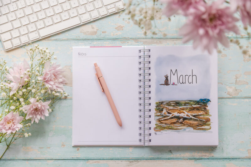 Emily Cole illustrations 2027 funny horse diary A5 inside page march month image and notes page