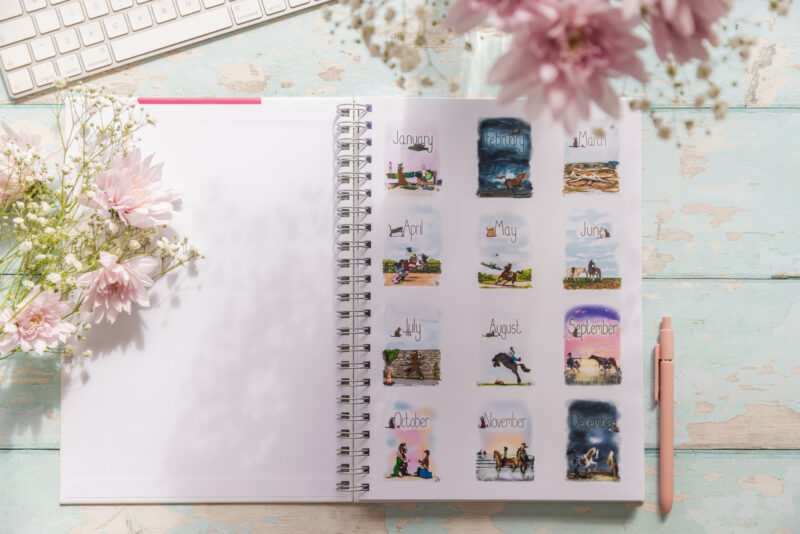 Emily Cole illustrations 2027 funny horse diary A4 month preview images