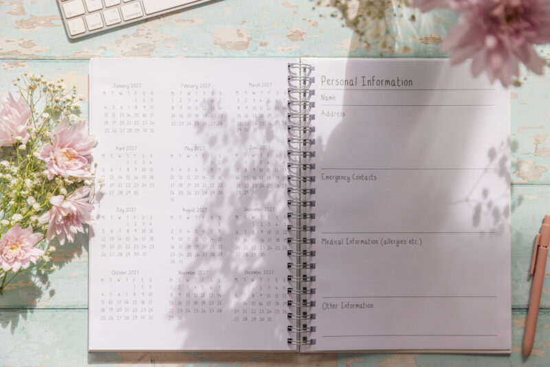 Emily Cole illustrations 2027 funny horse diary in A4 inside pages personal information and year at a glance