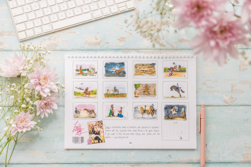 Emily Cole Illustrations 2027 wall calendar funny horse back cover