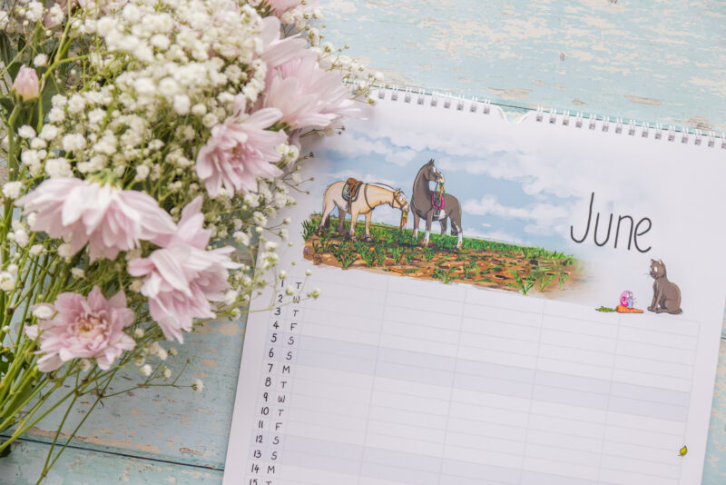 Emily Cole Illustrations large family planner calendar 2027