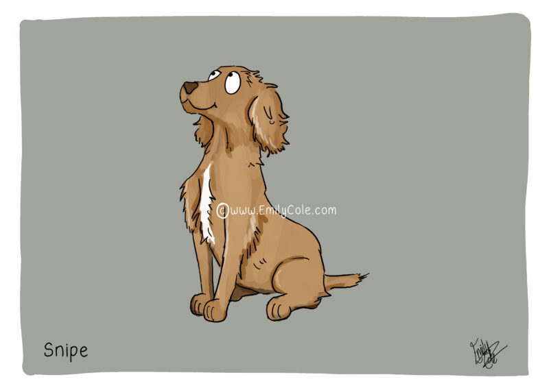 Spaniel personalised print example